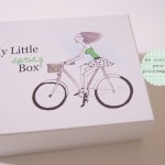 my little spring box