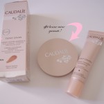 teint parfait caudalie