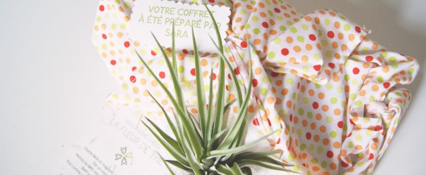 trésors au naturel coffret printanier trésors au naturel coffret printanier