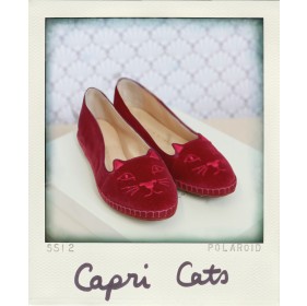 capri_cats_pink charlotte olympia