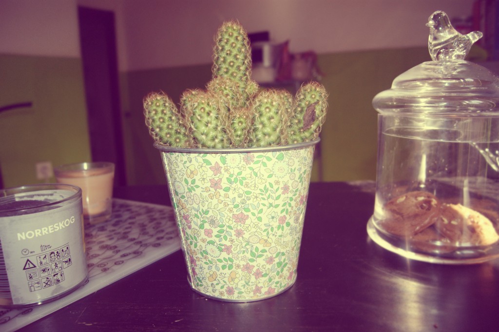 cactus ikea