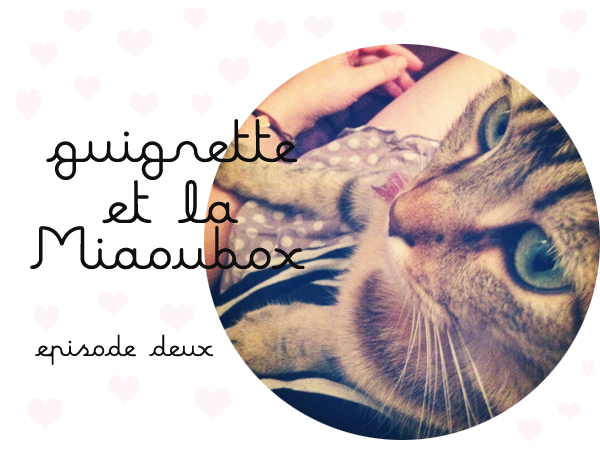 Guignette ♡ La MiaouBox de Juin (et petite surprise ! )
