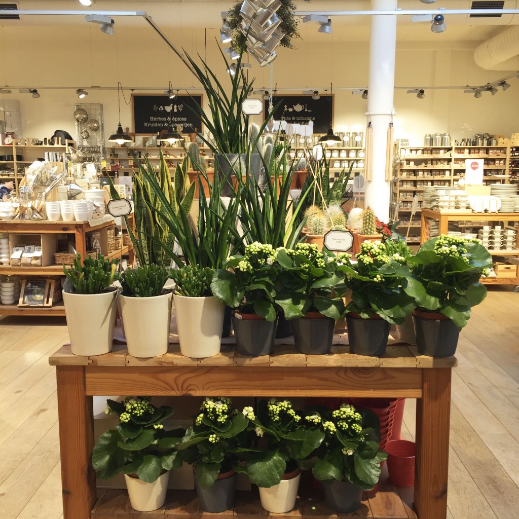 city guide bruxelles