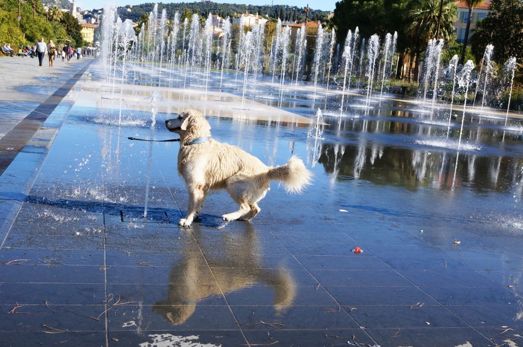 promenade du paillon nice