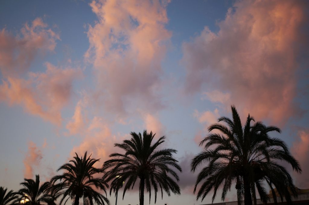 promenade des anglais nice