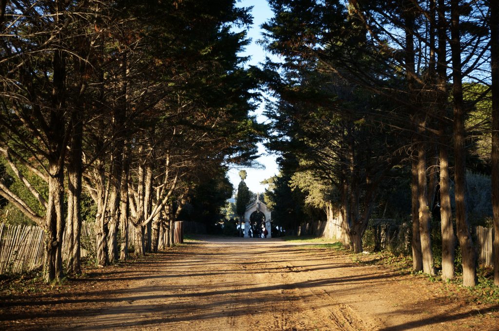 ile saint honorat cannes