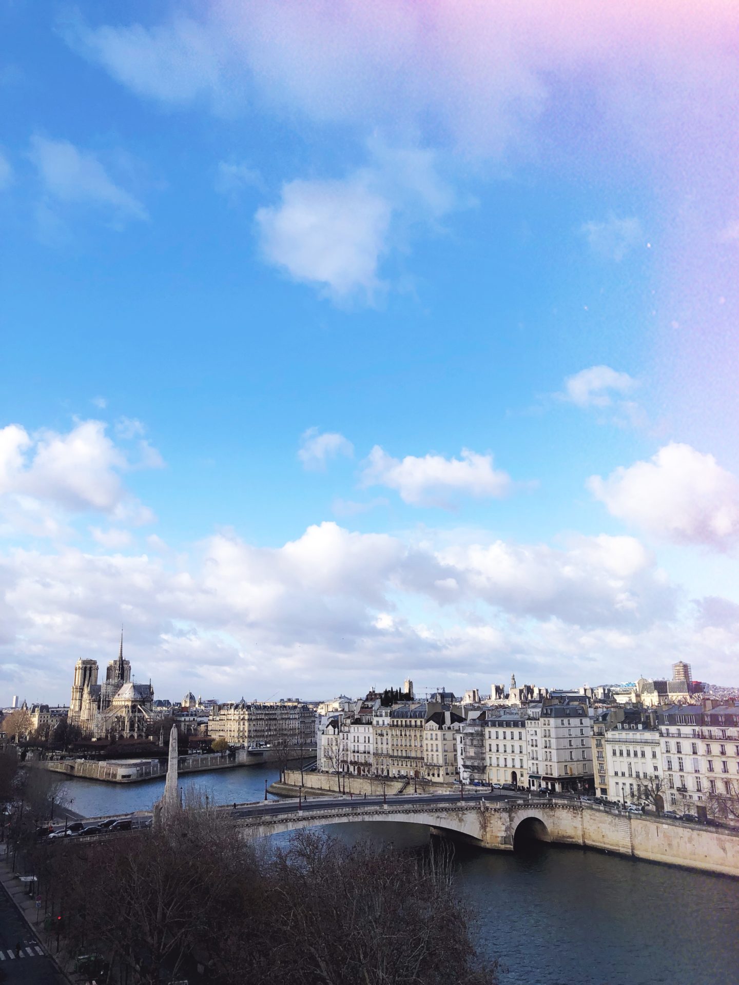 vue de paris institut du monde arabe