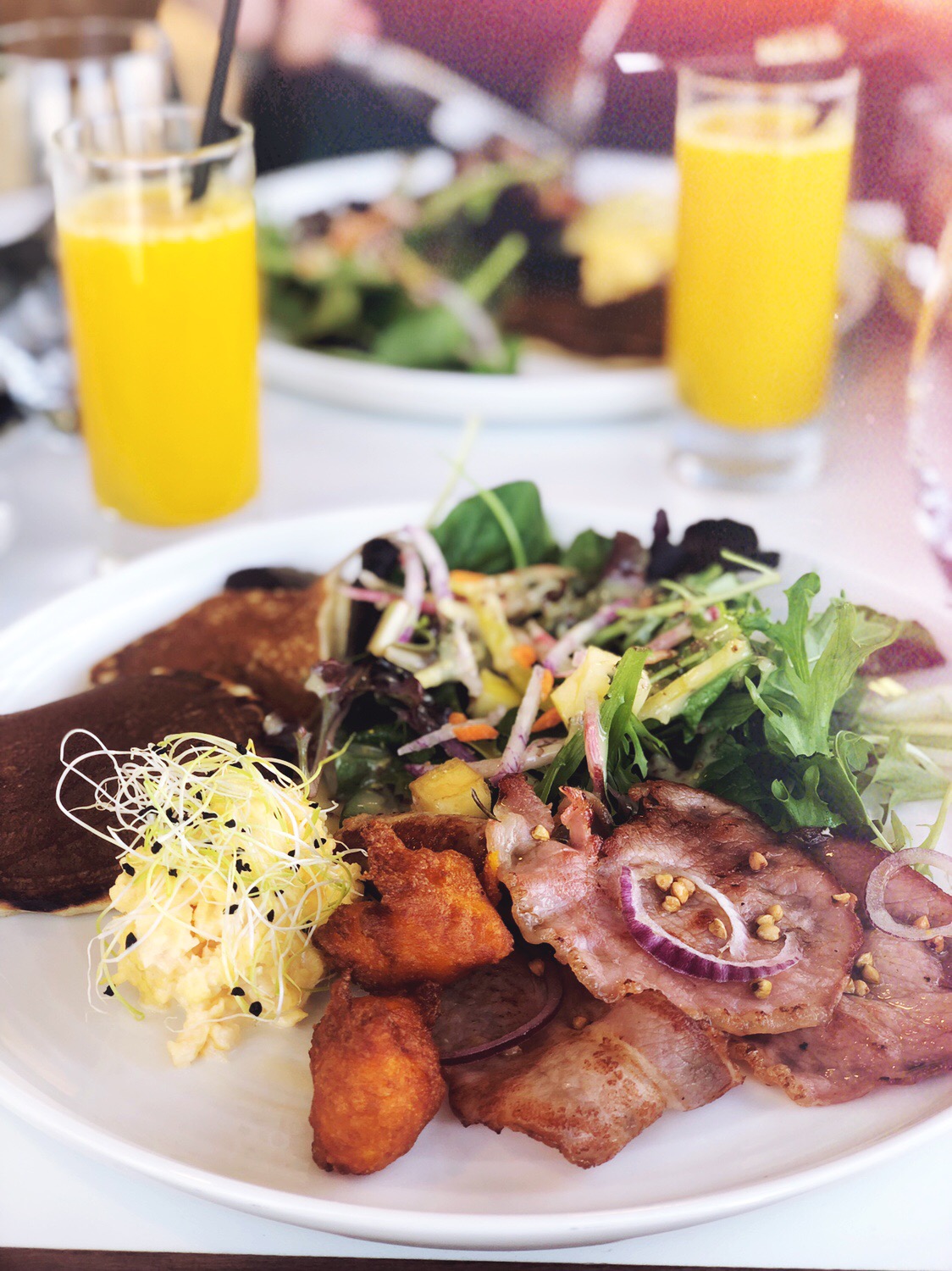 brunch aquarium de la rochelle