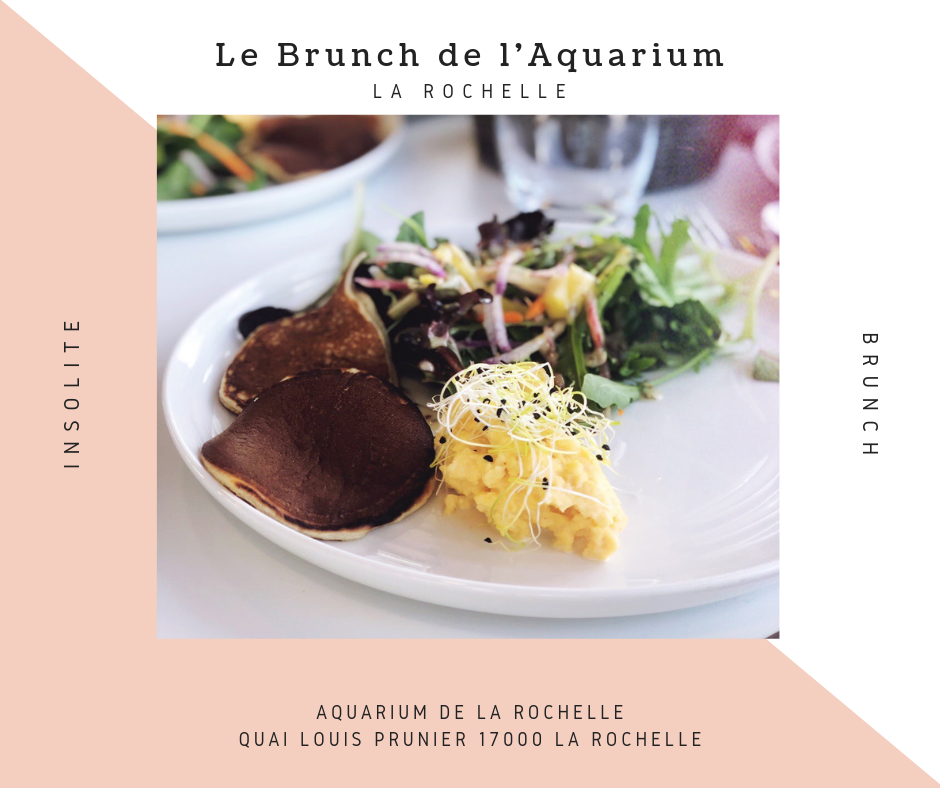 brunch aquarium de la rochelle