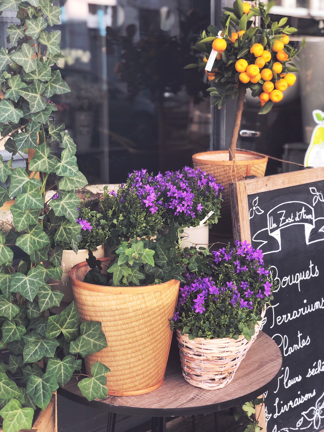  boutique vieux lille