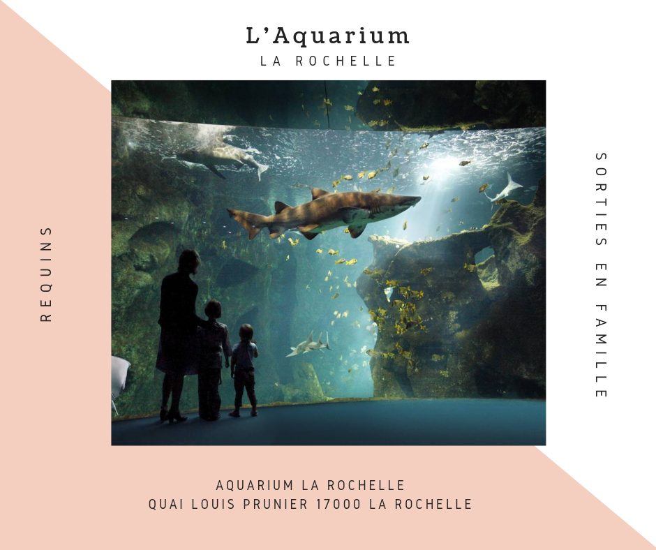 aquarium la rochelle