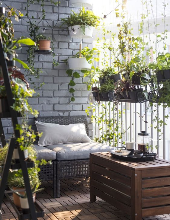 plantes-petit-balcon-