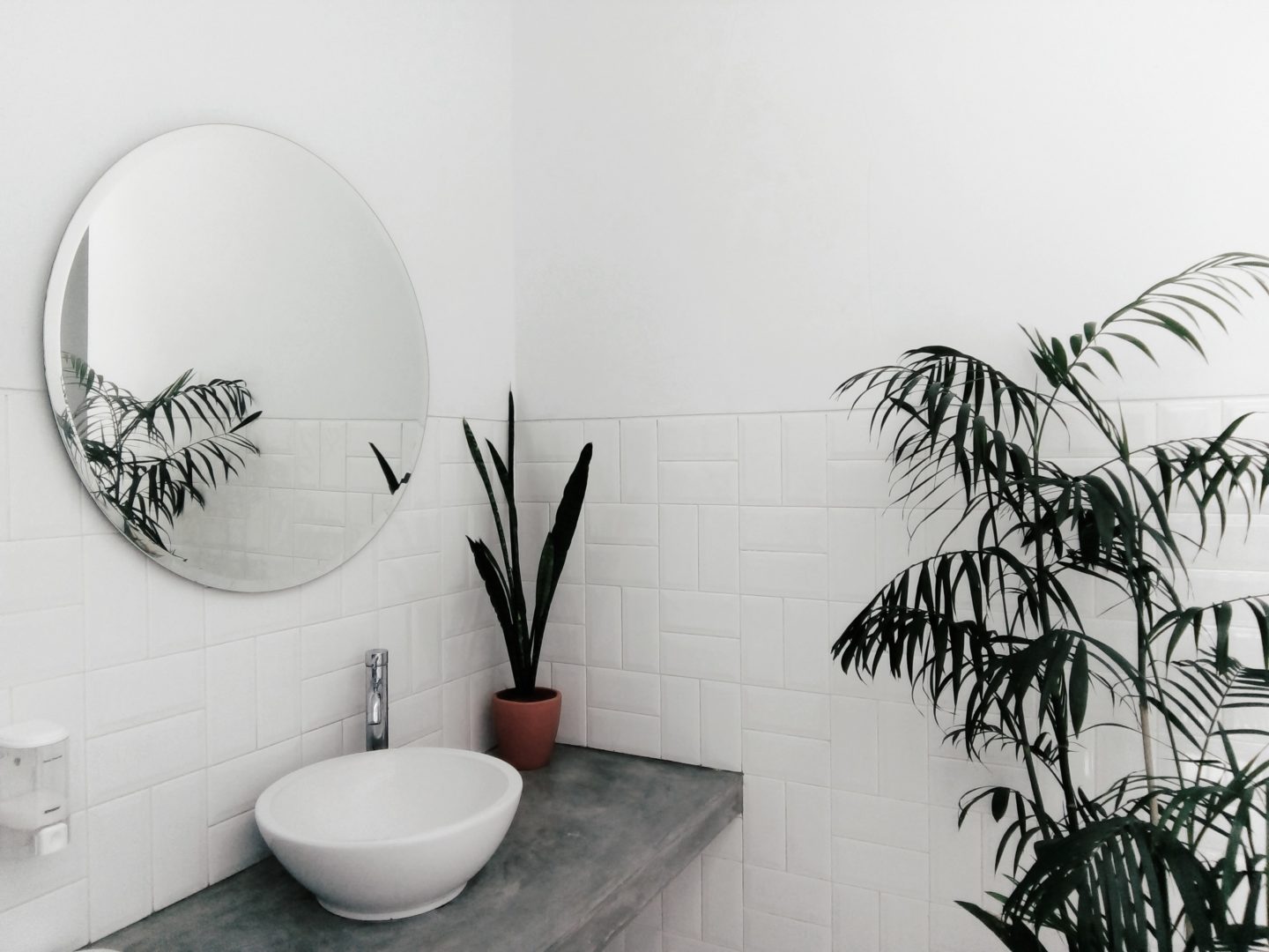 intan-indiastuti-SufJtmQloUM-unsplash
