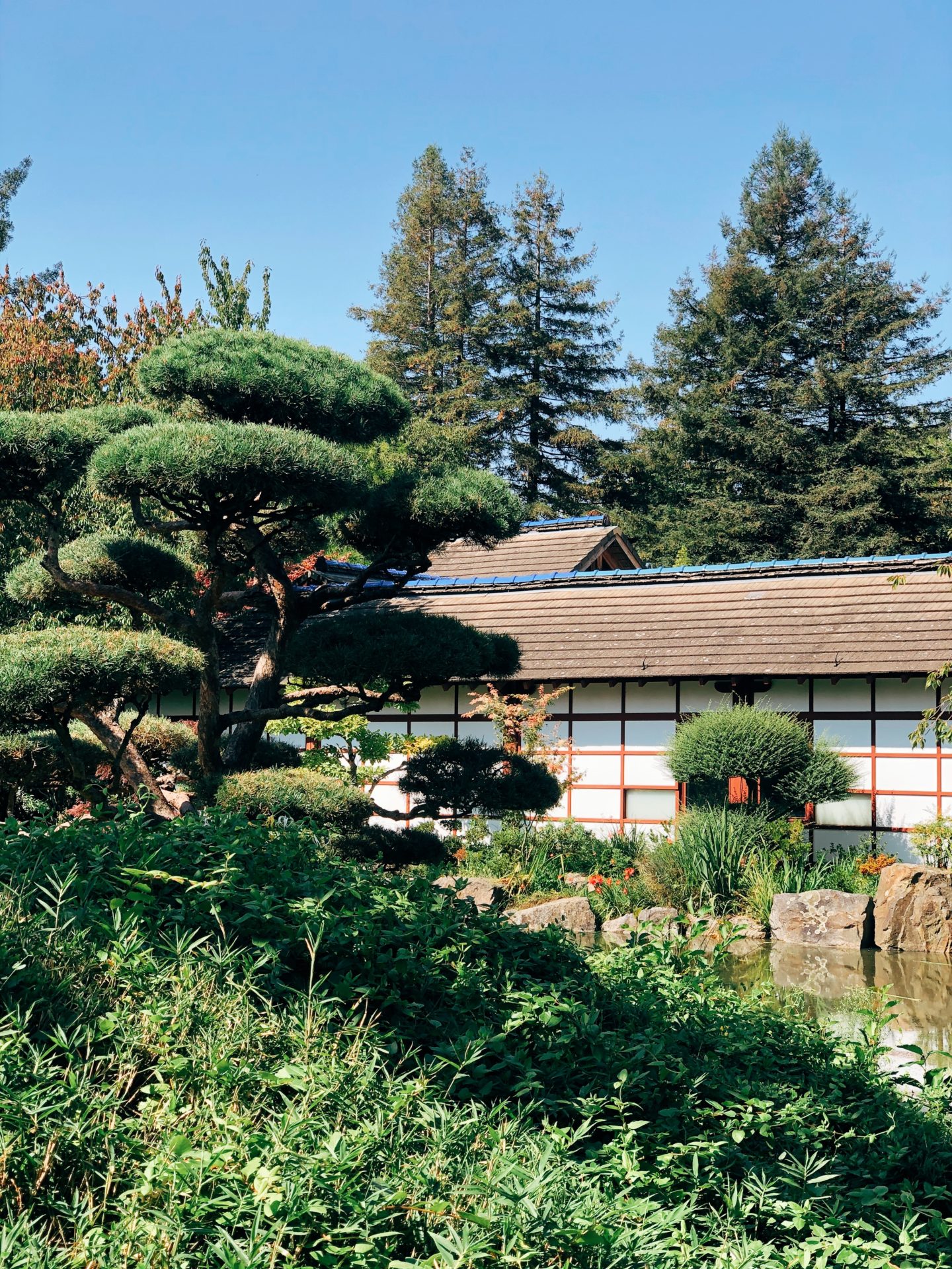 Processed with VSCO with e1 preset