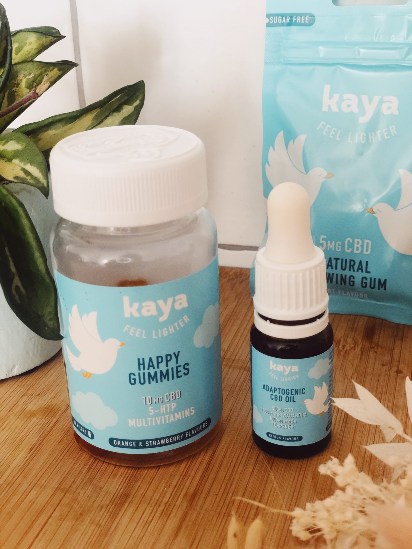 Processed with VSCO with kp6 preset