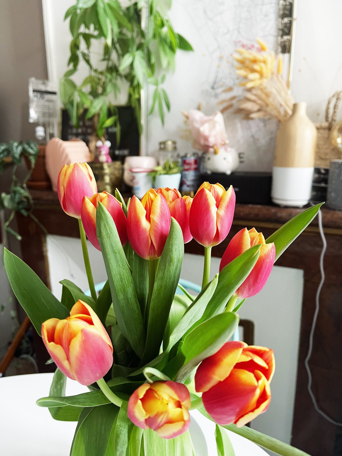 Processed with VSCO with n1 preset