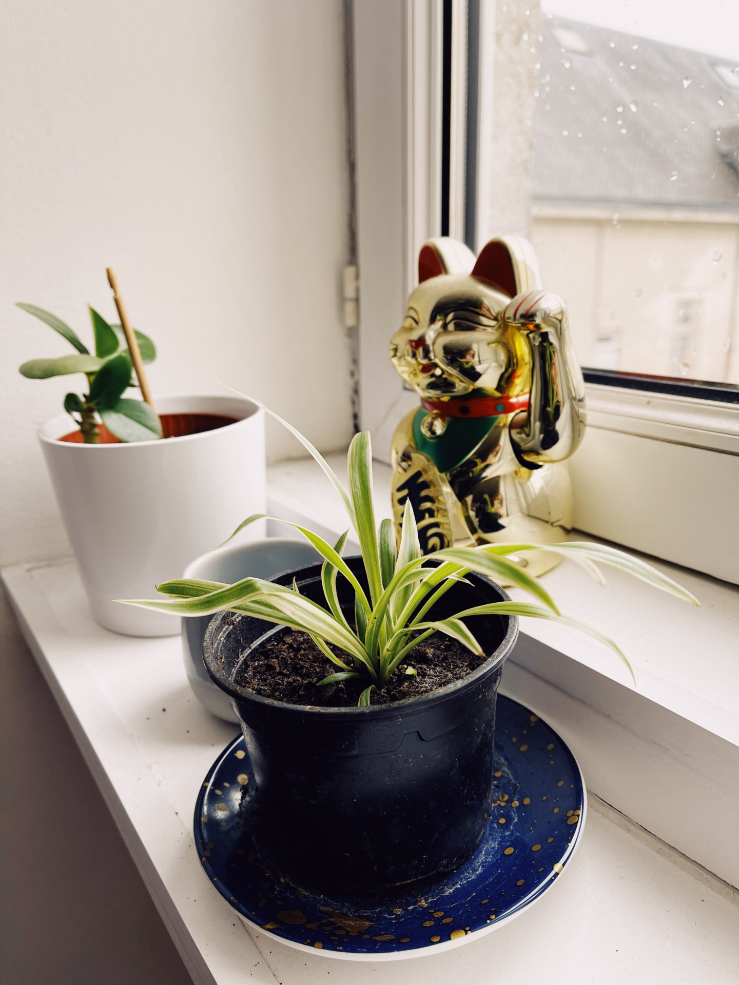 Processed with VSCO with kp8 preset