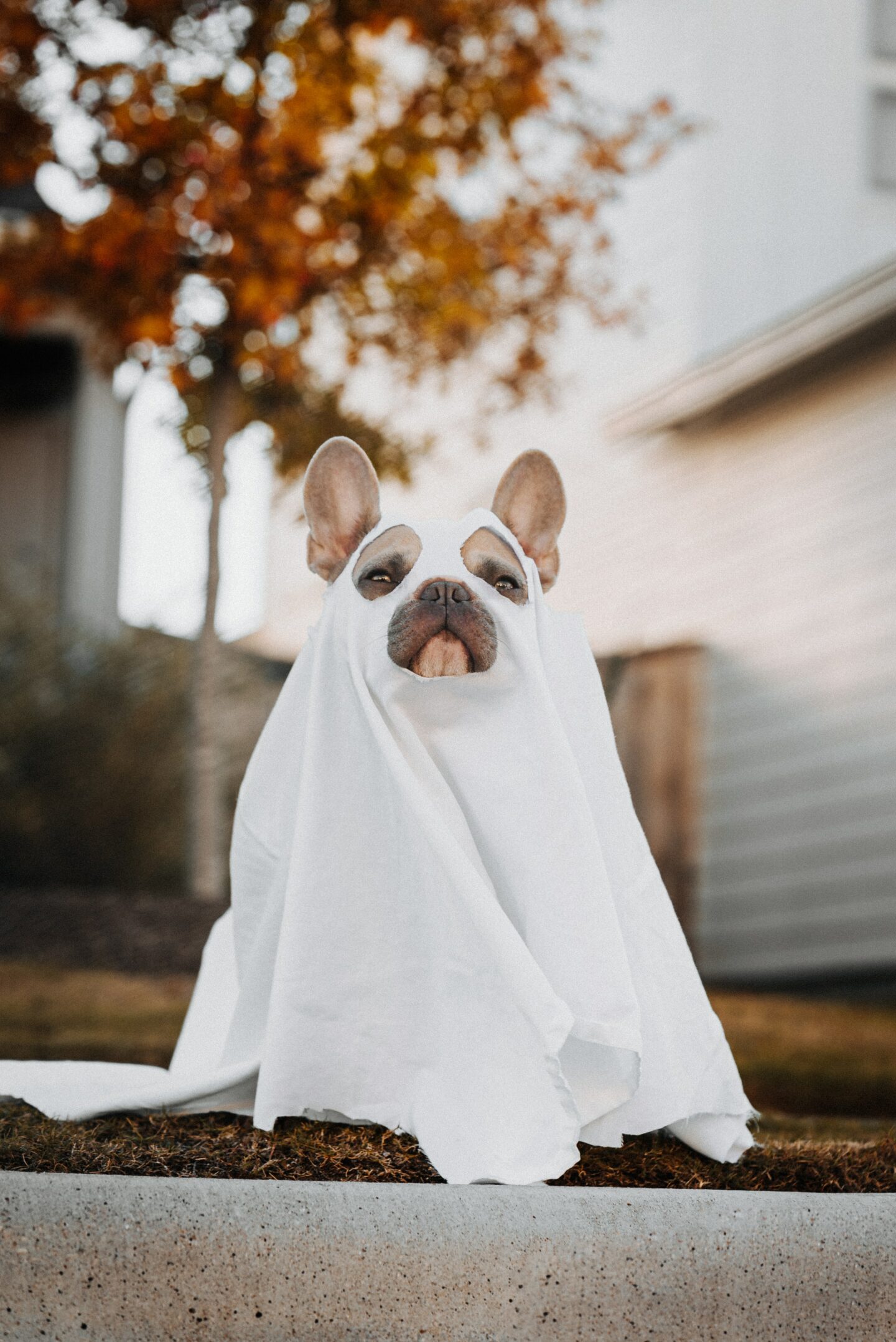 20 idées repérées sur Pinterest pour une déco d’Halloween trop mignonne !