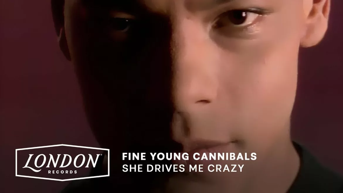 Miniature de la vidéo : Fine Young Cannibals – She Drives Me Crazy (Official Video)