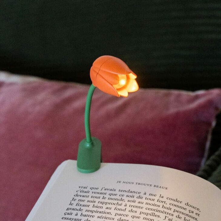 liseuse pour livre, idées de cadeaux originaux