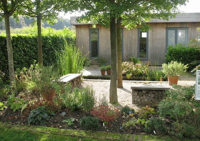 Le studio de jardin : le nouvel espace de liberté des femmes modernes