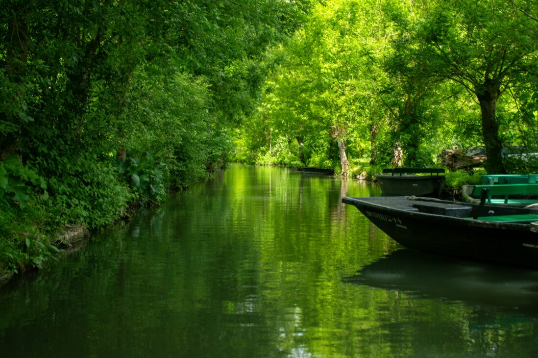 balade en barque dans le marais poitevin à 1h de la rochelle