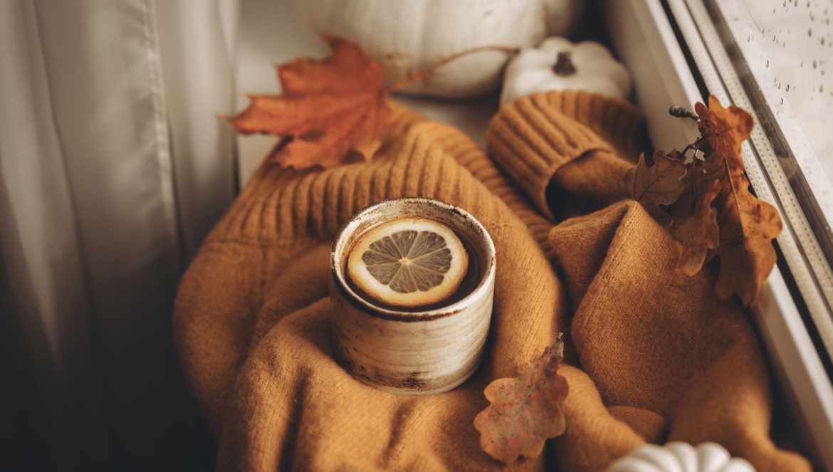 idées d'activités cosy pour l'automne